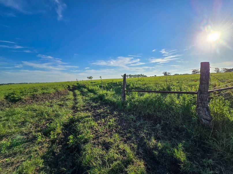 Copy of 20250625_073623