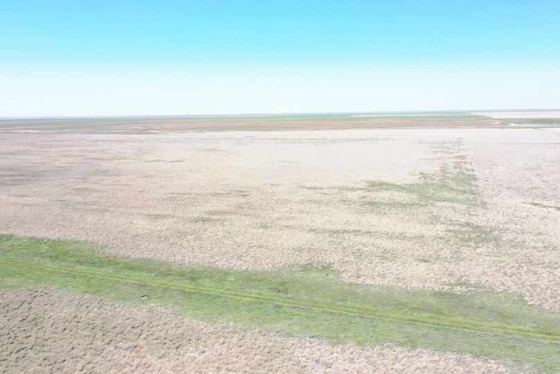 DJI_0651