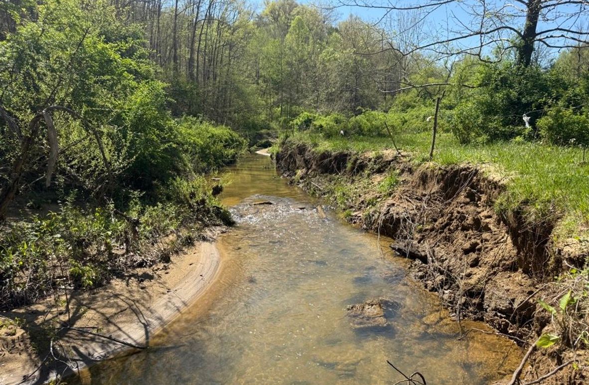002 Trent Fork creek flowing near the eastern boundary and county gravel road