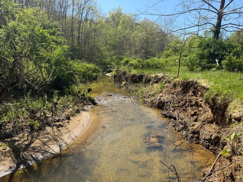 002 Trent Fork creek flowing near the eastern boundary and county gravel road