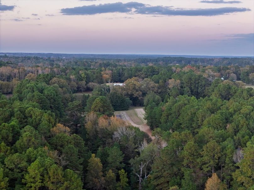 DJI_20251112172438_0011_D