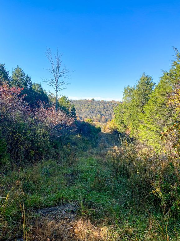 Lewis Johnson 78 001