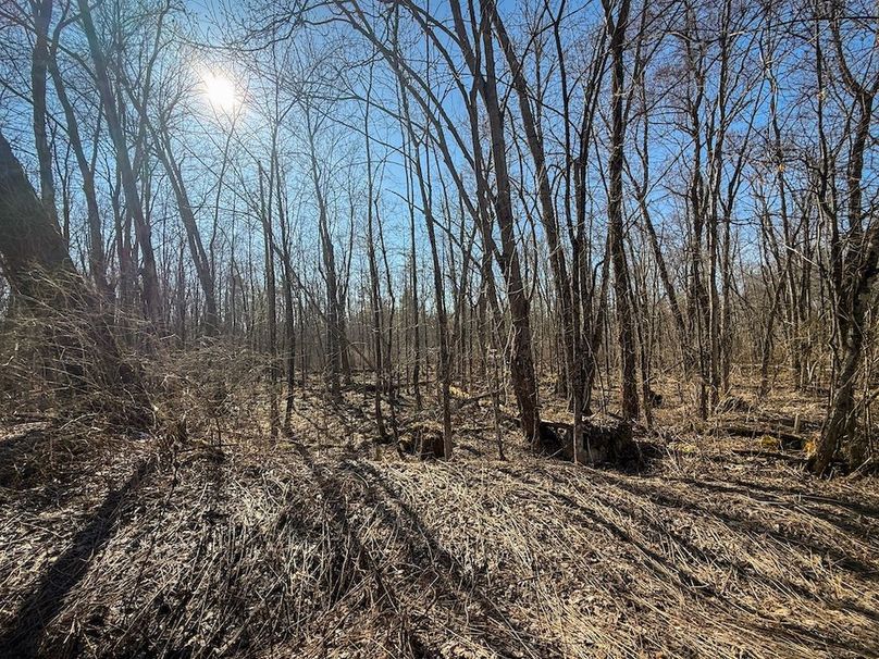 Oswego_16.32_Phillips Photo 6