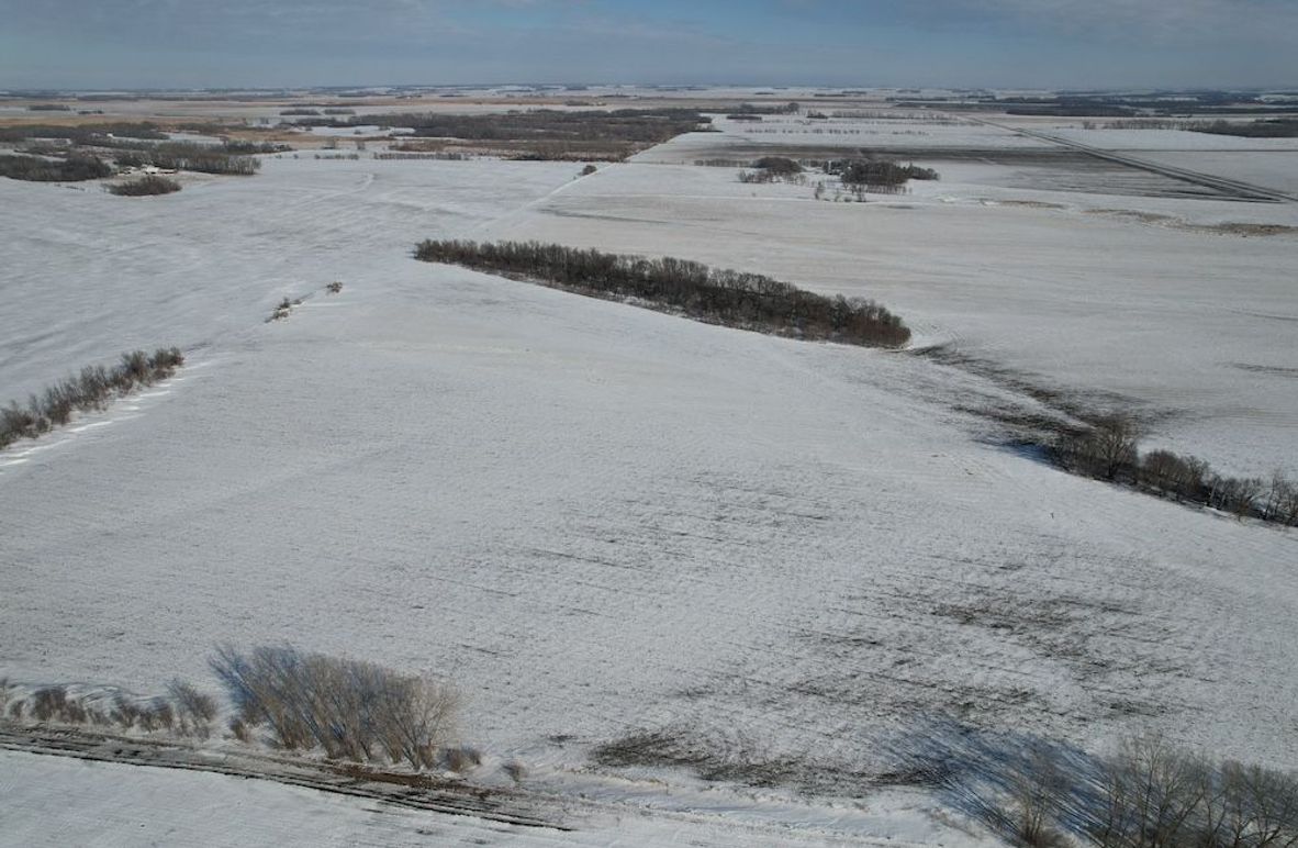 dji_fly_20260226_145108_85_1772139418132_photo