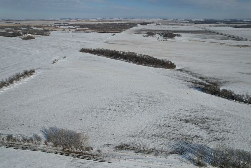 dji_fly_20260226_145108_85_1772139418132_photo