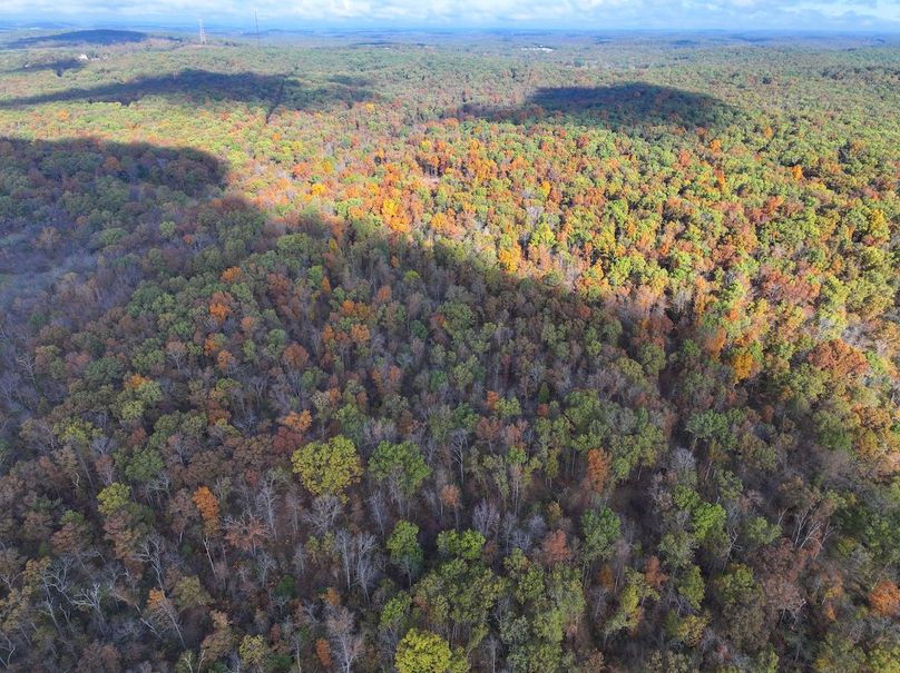 DJI_20251102094112_0810_D