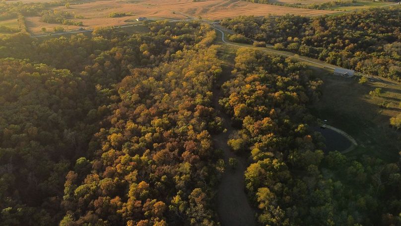 NODAWAY CO MO 80_119