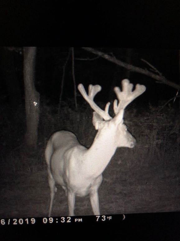 58457780805__ADF6ED58-D15E-435C-9E8A-181E40A06CDA