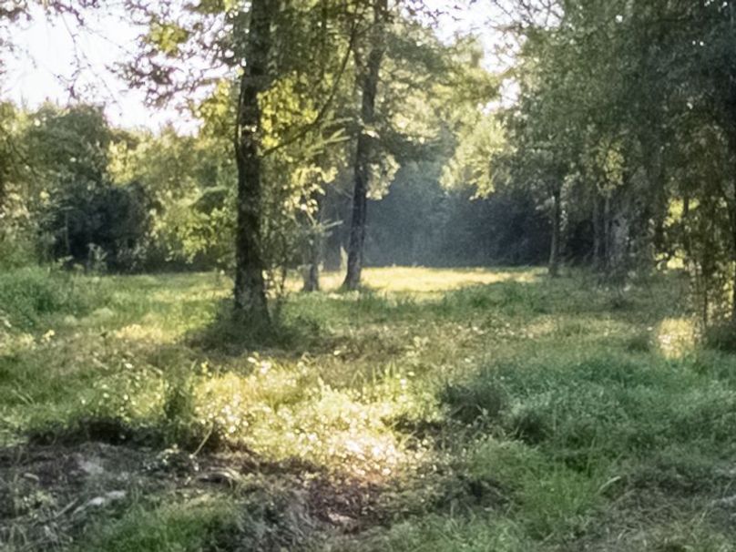 Ashley Co-40-Givens-54