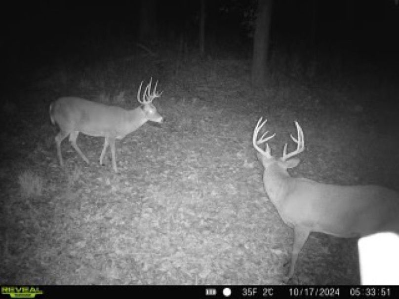 860322064793737-70-4-10172024053350-W1003424