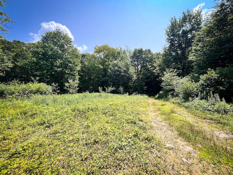 Oswego_100_Roof_Photos_45