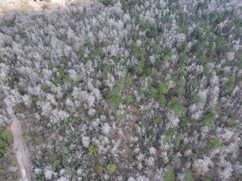 dji_fly_20260212_140232_0050_1771284245334_photo