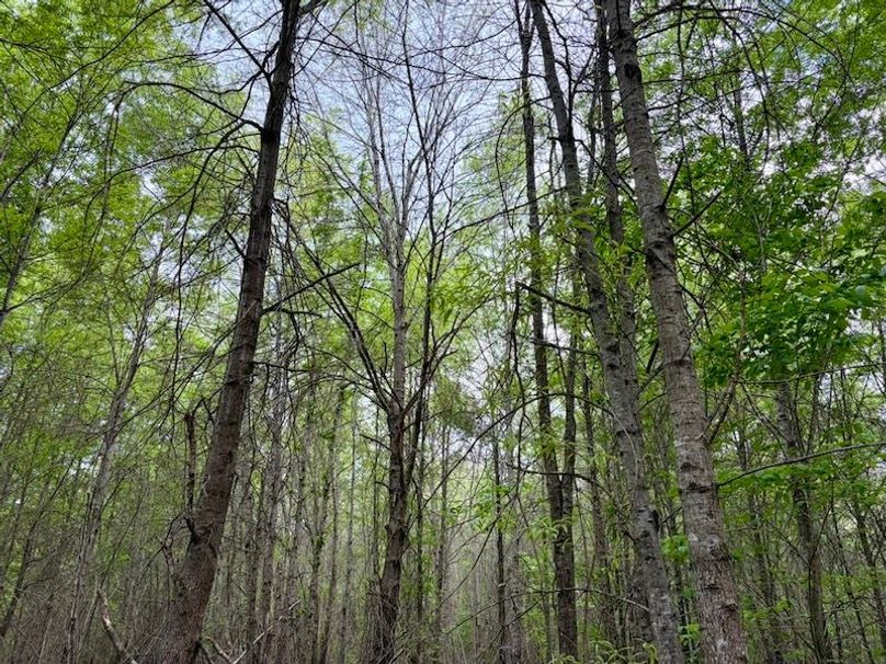 D6D6243B-6ED4-4531-B539-CE3C940571CC_1_105_c