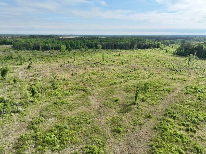 dji_fly_20260427_094706_590_1777299992729_photo