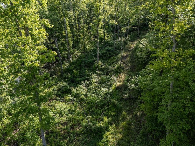 DJI_20250524070718_0360_D