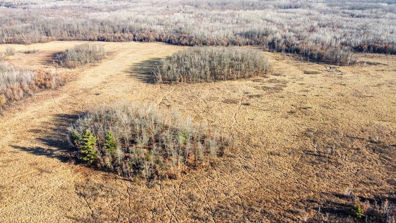 ClarK 160 WILLIAMS -28