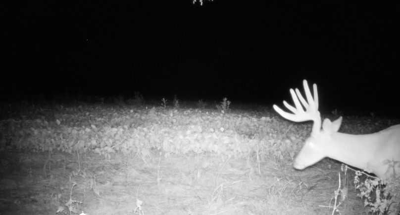 Copy of IMG_3215 Large