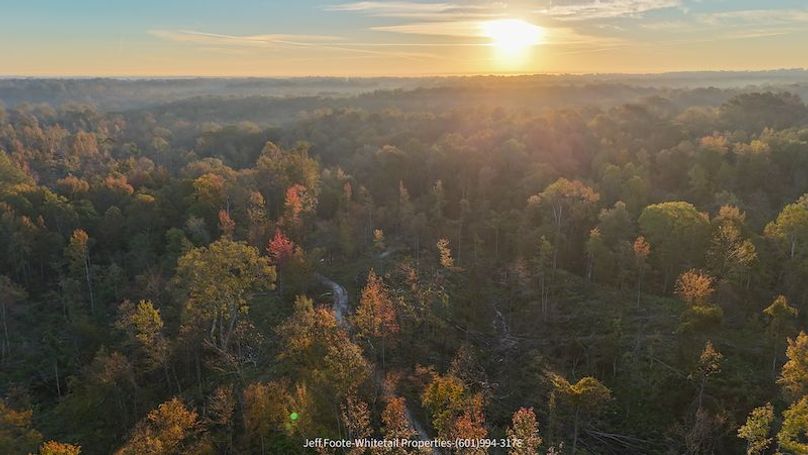 Claiborne Co-189-Geronimo-24