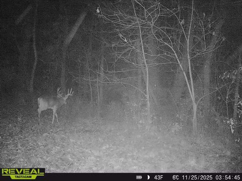 Copy of Trail photos.41