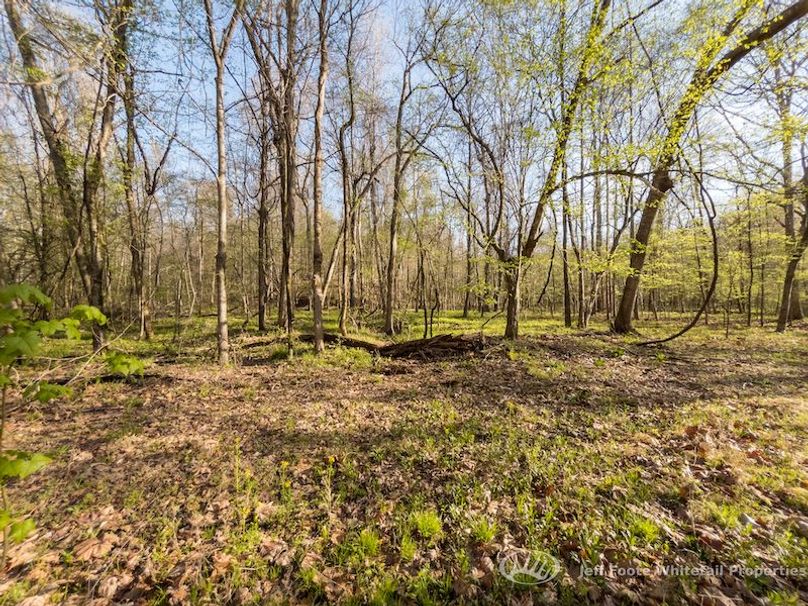 Warren Co - 45.5 - Bockman-77