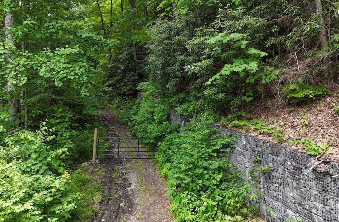 dji_fly_20240624_140518_0009_1719260735308_photo