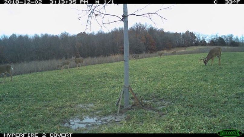 2018-12-02 15-13-35 M 1_1