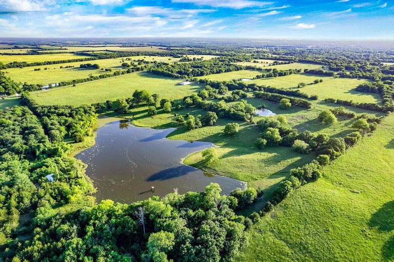 Fannin County- 134.4 acres-21