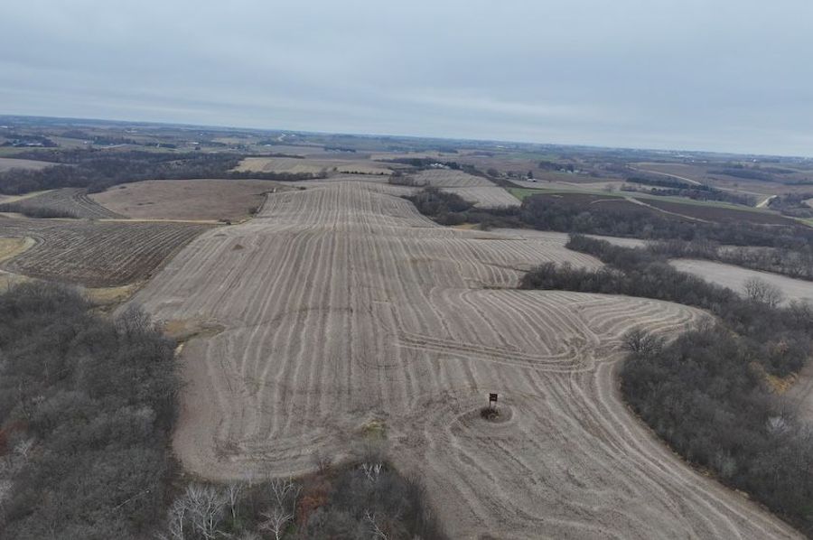 DJI_20241122145421_0023_D