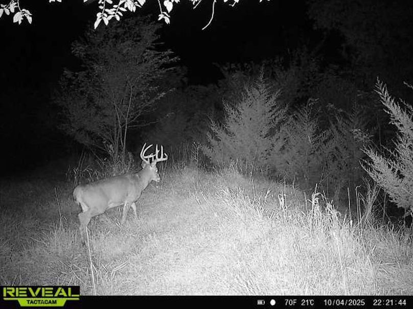 865814040443812-60-4-10042025222144-W1002987