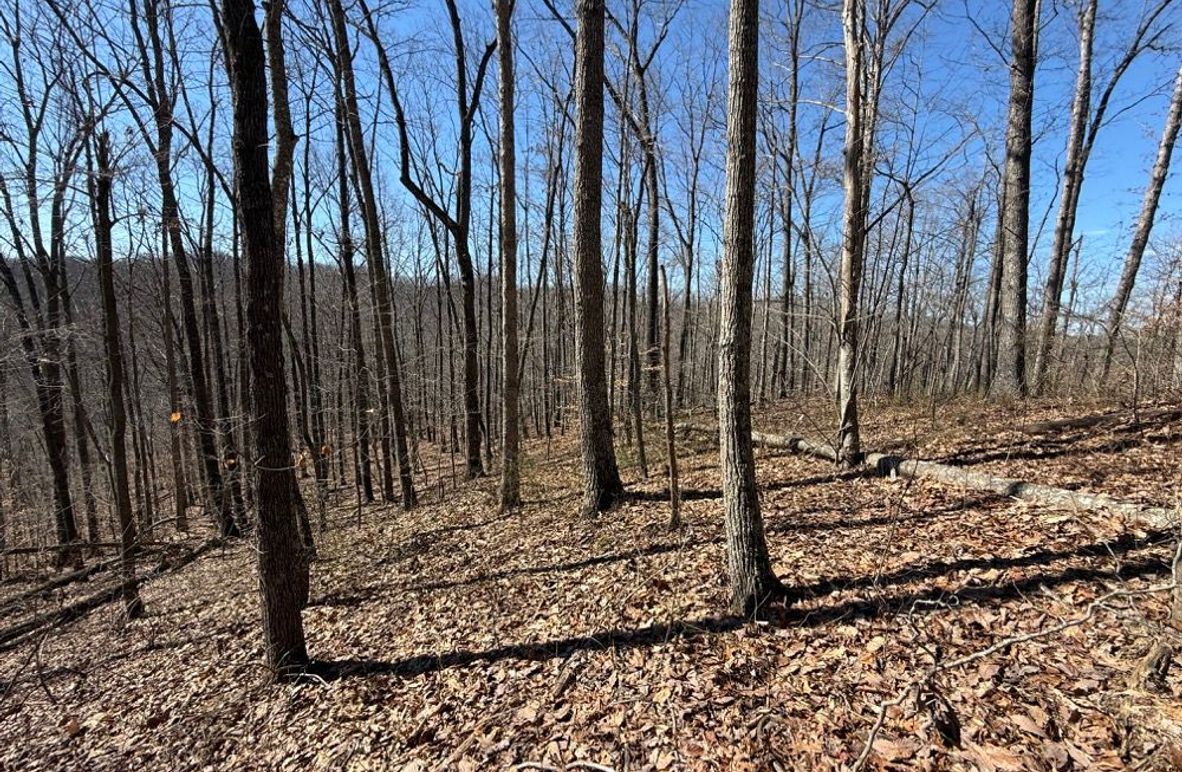 002 open ridge view in the northeast area of the property