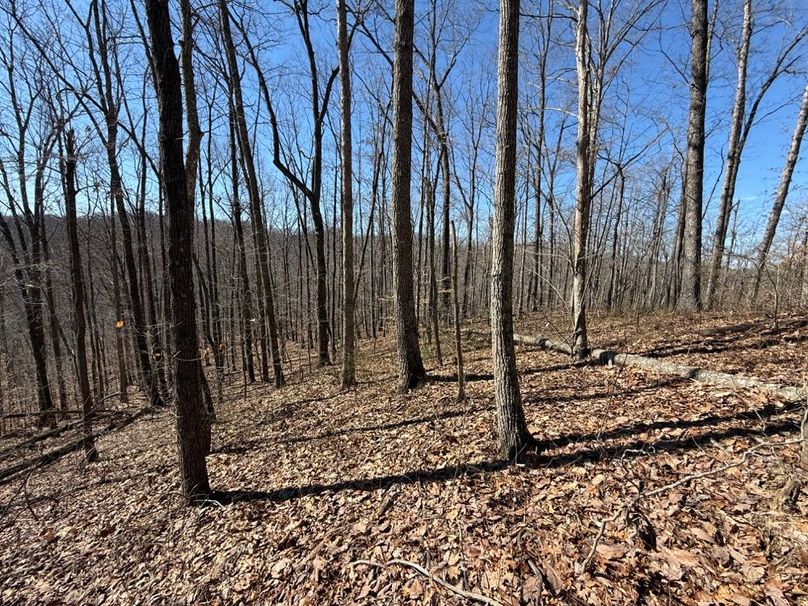 002 open ridge view in the northeast area of the property