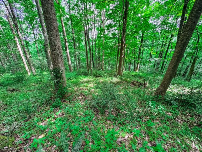 Doddridge, WV 15.68 AC Bonnett-75