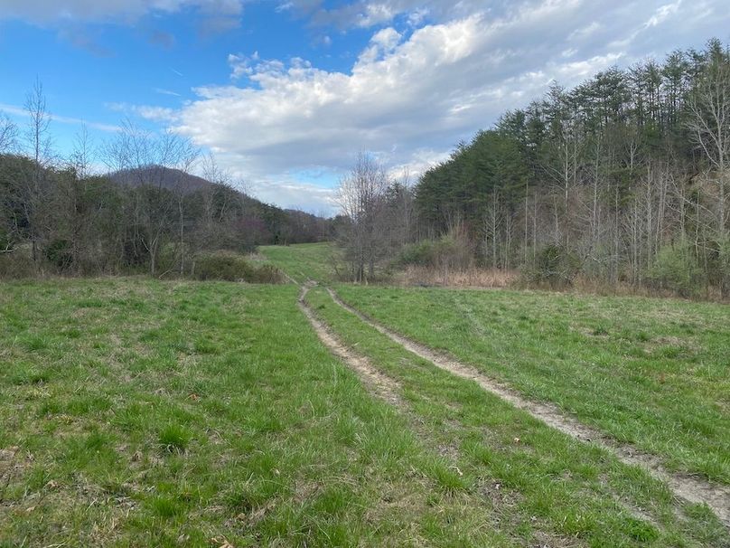 009 the open field area in the northeast part of the property, perfect spot to build