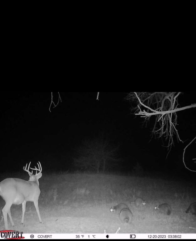 Screenshot_20231220_053151_CovertWireless