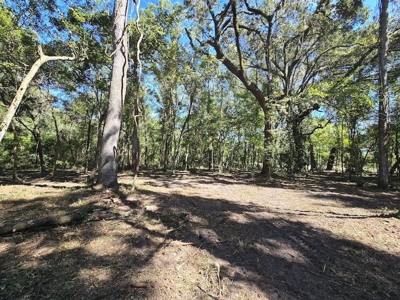 7.8ac, Citrus, Andrew Goering18