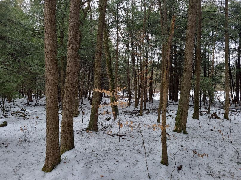 photo_21a1fec2-ec08-4fd1-a283-5e34d39877b9