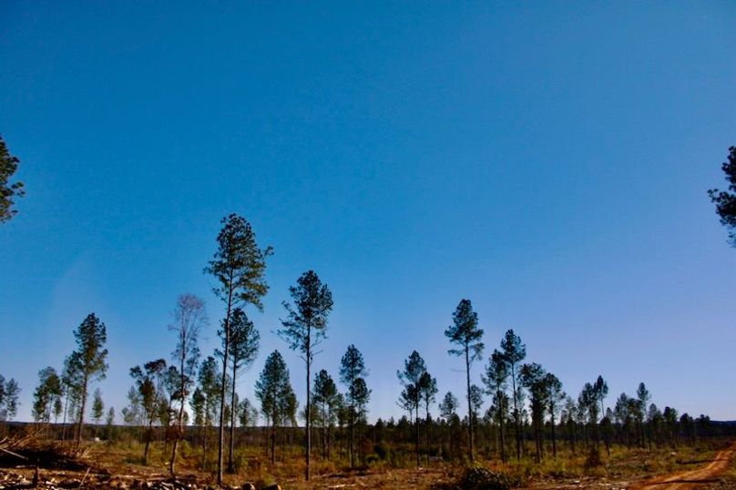 EF3982B0-BFB3-4D70-B659-B11DCAA96D01_1_201_a