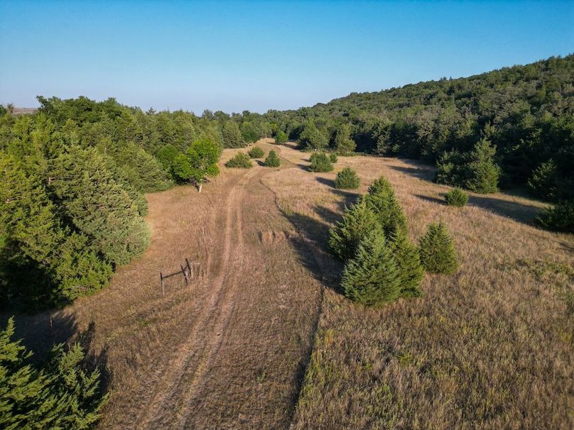 DJI_0180
