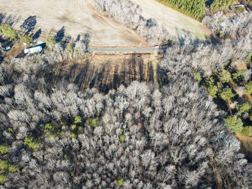 Copy of dji_fly_20240129_092216_769_1706538267497_photo