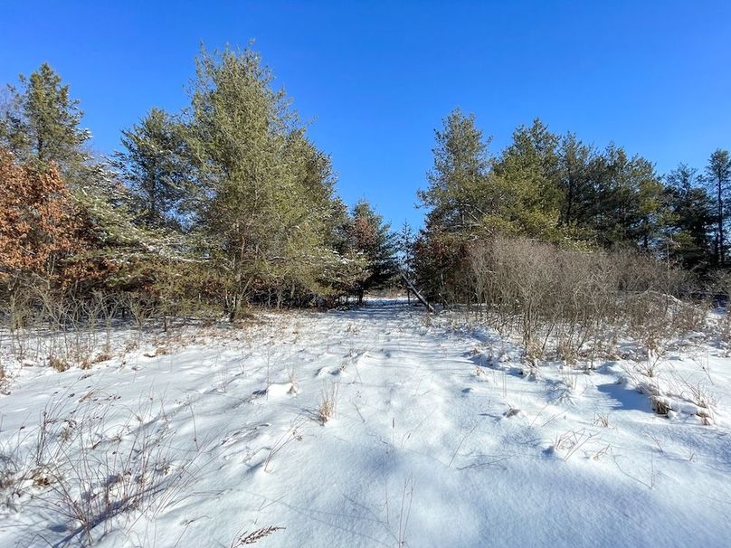 Juneau 105 Cantic -19