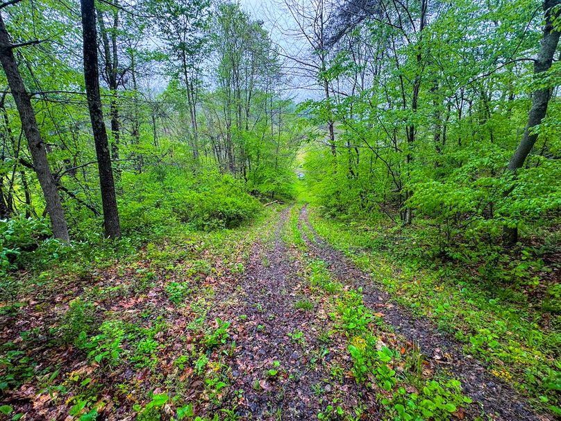Lewis, WV 34.74 AC Graham-22