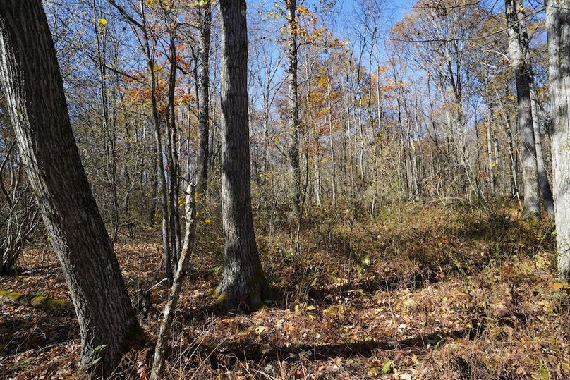 Somerset, 10.91, Tinkey-32