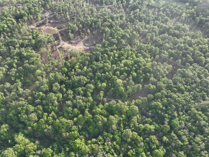 dji_fly_20260407_083254_351_1775580346740_photo