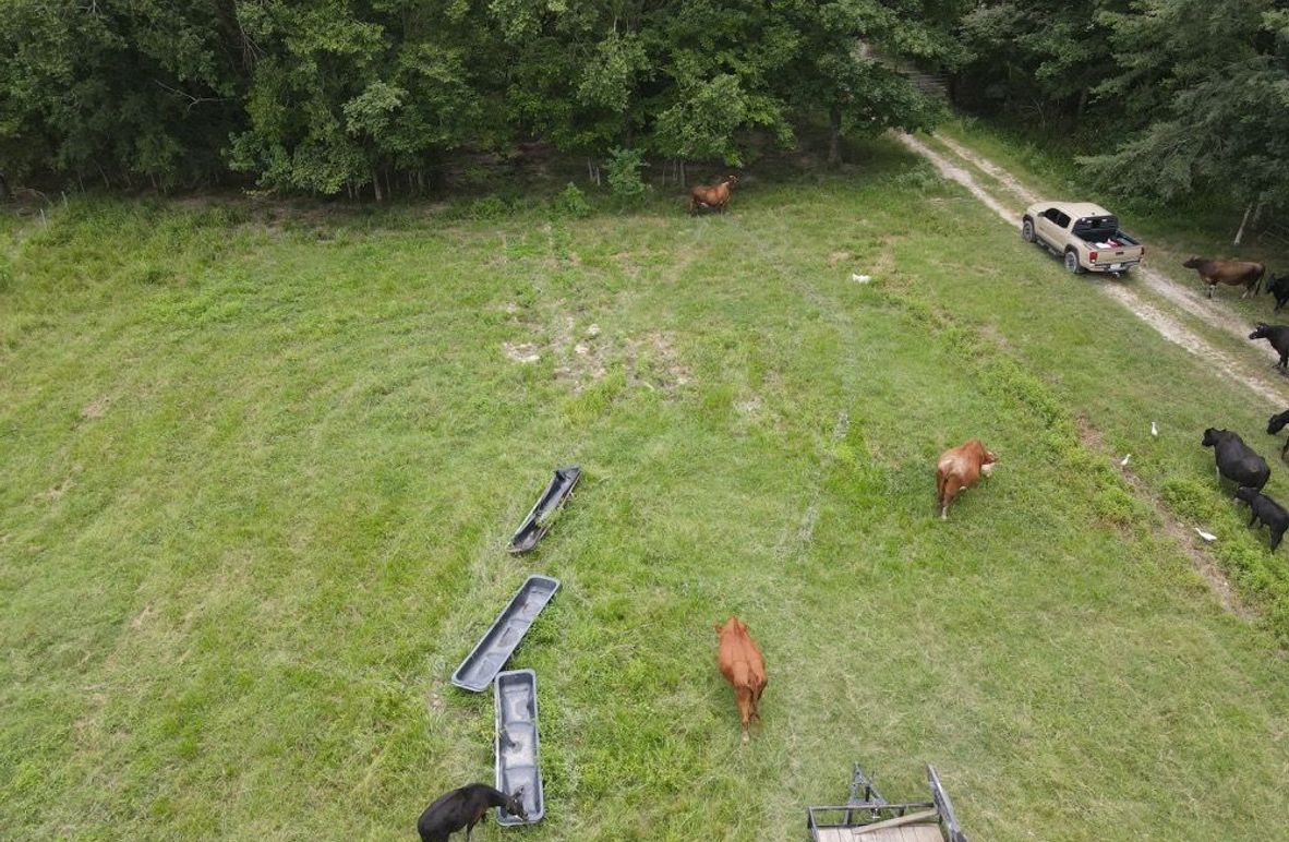 dji_fly_20250726_122432_593_1753550680798_photo