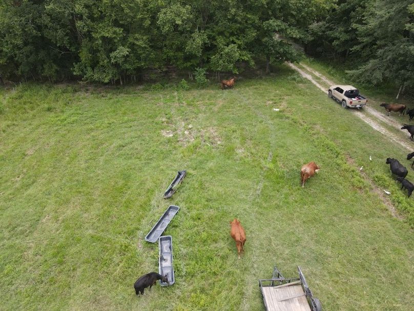 dji_fly_20250726_122432_593_1753550680798_photo