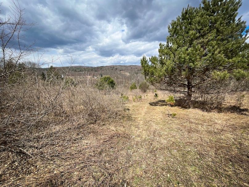 Tioga__NY_109.7_Burris_Photos_54