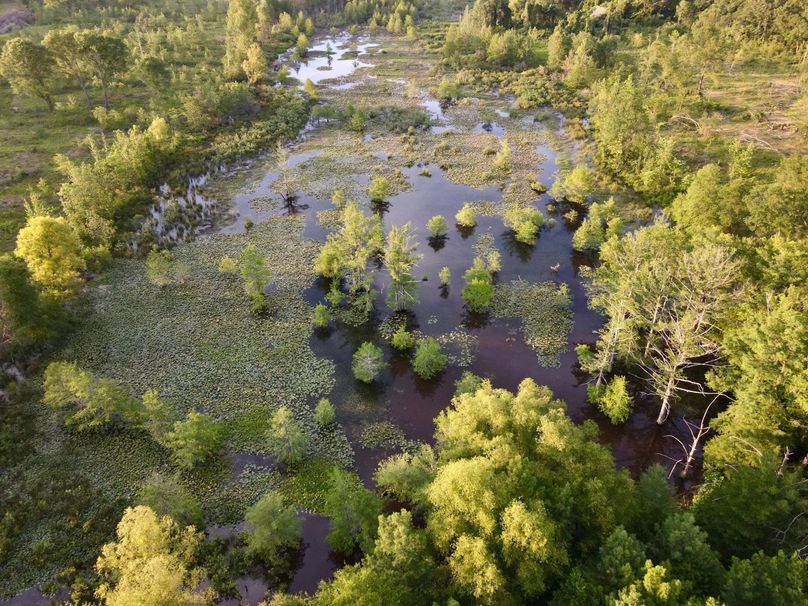 DJI_0064