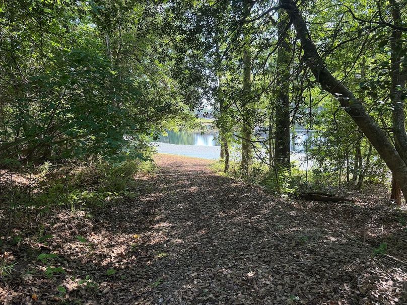 10 - trail 7 to pond
