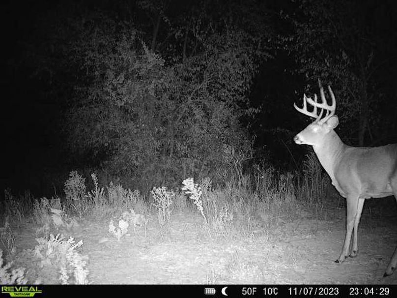 868032067149447-40-4-11072023230428-V-W1003722