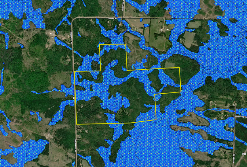 8124 Virginia Ely Rd. wetland layer